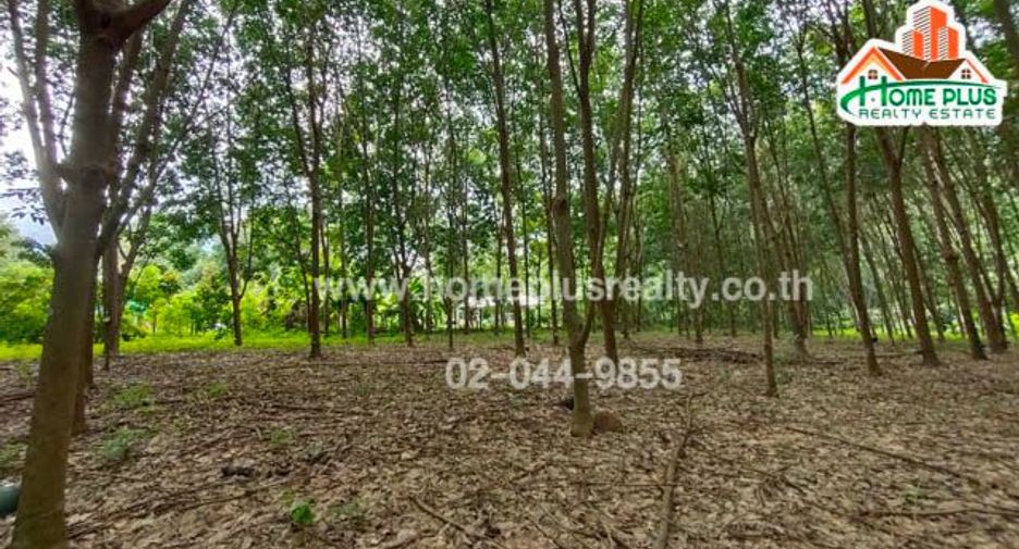 For sale land in Ban Rai, Uthai Thani