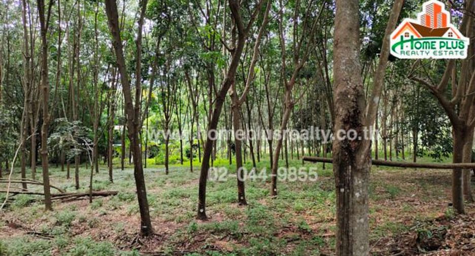For sale land in Ban Rai, Uthai Thani