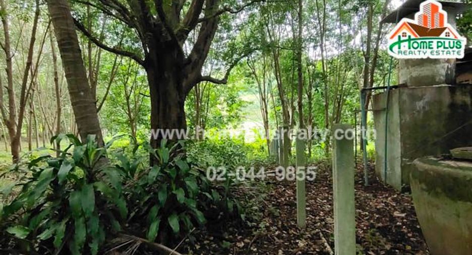 For sale land in Ban Rai, Uthai Thani