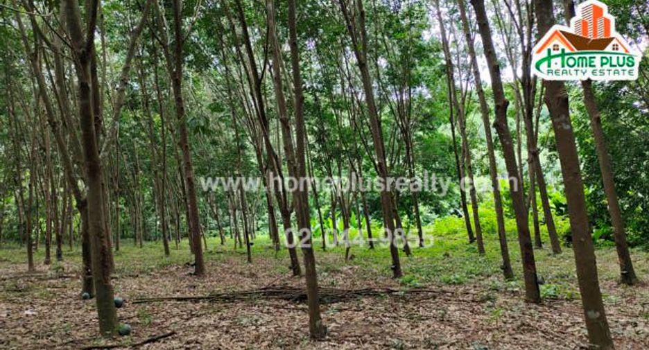 For sale land in Ban Rai, Uthai Thani