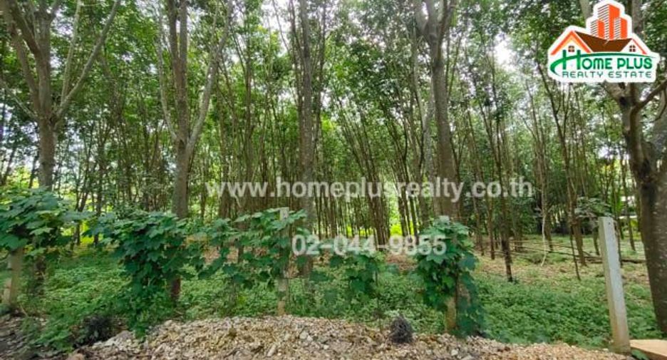For sale land in Ban Rai, Uthai Thani