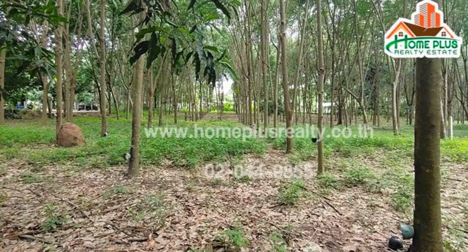 For sale land in Ban Rai, Uthai Thani