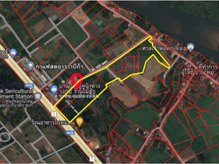 For sale land in Wang Chao, Tak
