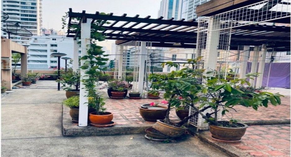 ขาย สตูดิโอ อพาร์ทเม้นท์ ใน วัฒนา, กรุงเทพฯ
