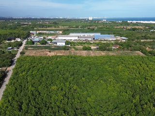 出售 土地 在 Ban Chang, Rayong