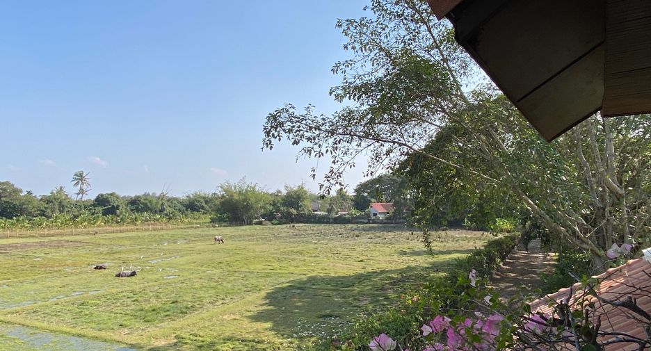 For rent and for sale 6 bedrooms house in San Sai, Chiang Mai