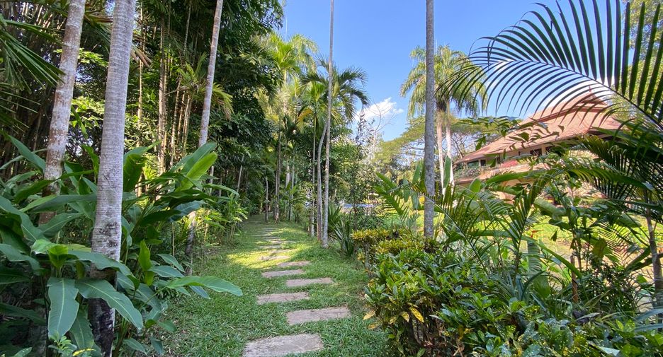 For rent and for sale 6 bedrooms house in San Sai, Chiang Mai