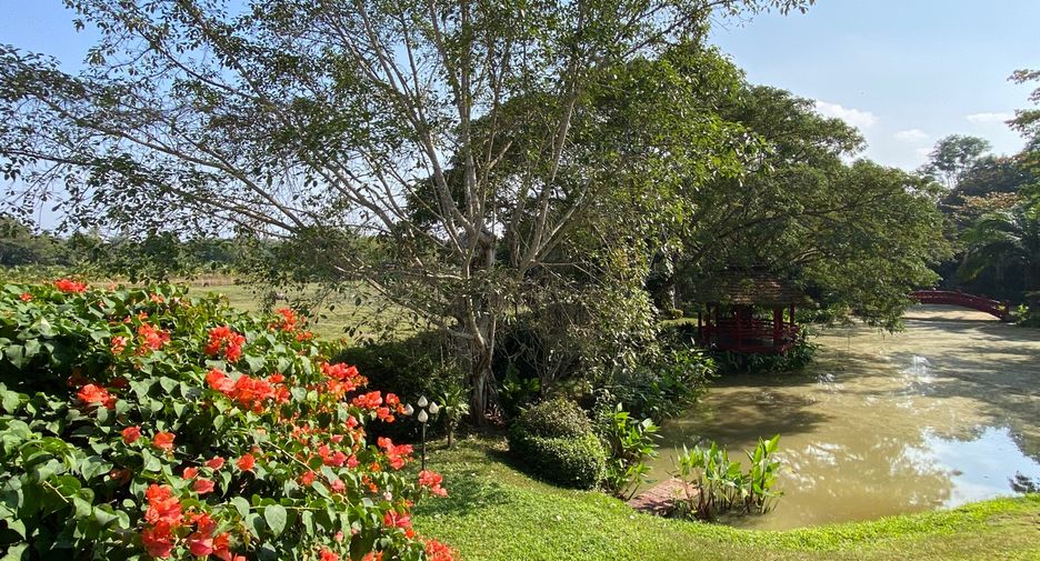 For rent and for sale 6 bedrooms house in San Sai, Chiang Mai