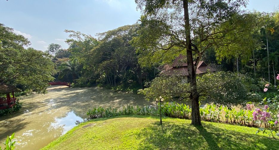 For rent and for sale 6 bedrooms house in San Sai, Chiang Mai