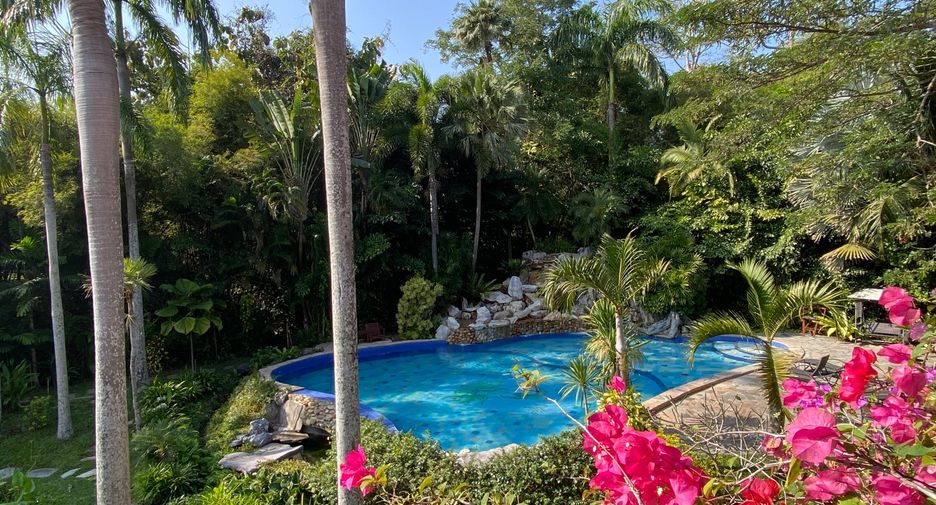 For rent and for sale 6 bedrooms house in San Sai, Chiang Mai