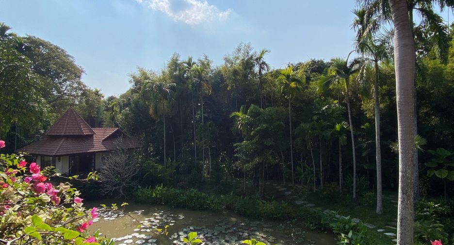 For rent and for sale 6 bedrooms house in San Sai, Chiang Mai