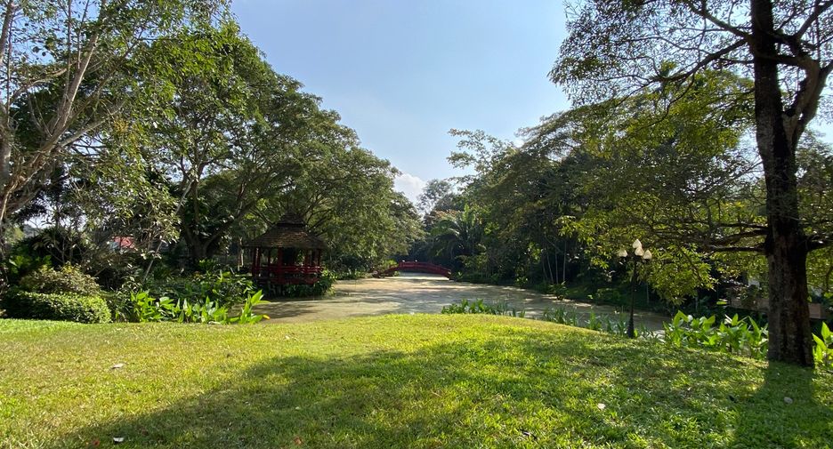 For rent and for sale 6 bedrooms house in San Sai, Chiang Mai