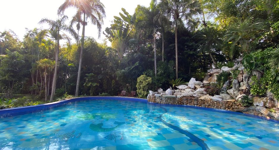 For rent and for sale 6 bedrooms house in San Sai, Chiang Mai
