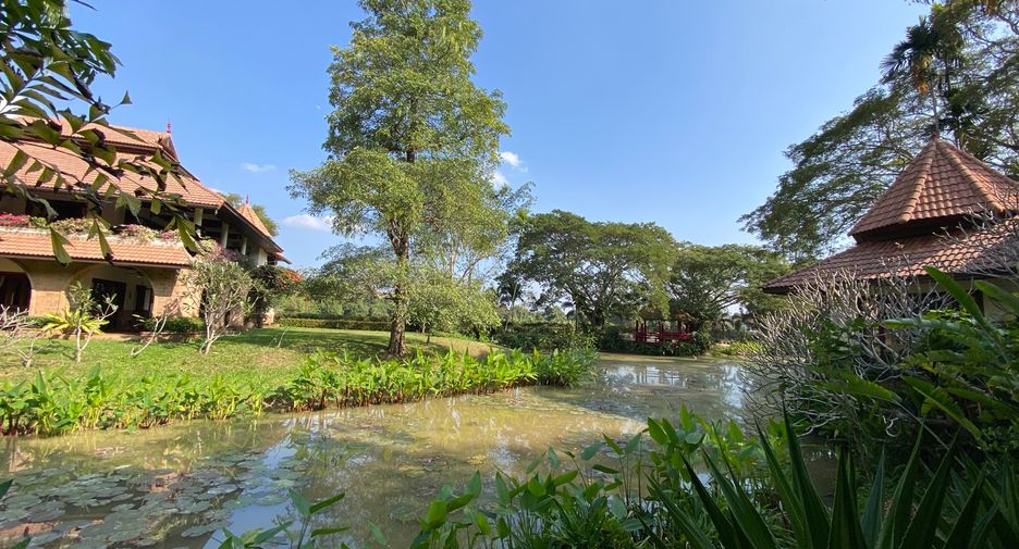 For rent and for sale 6 bedrooms house in San Sai, Chiang Mai