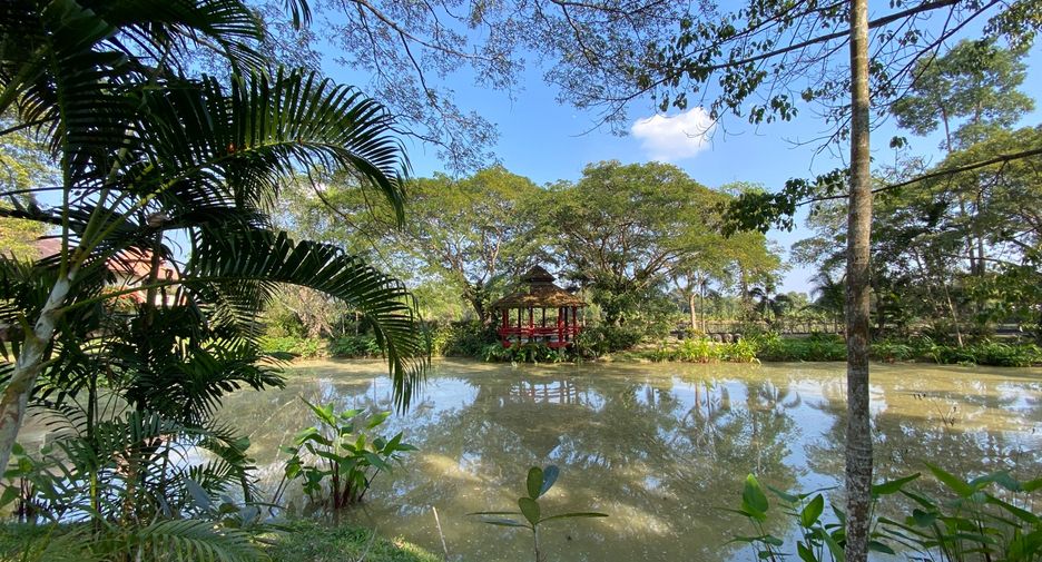 For rent and for sale 6 bedrooms house in San Sai, Chiang Mai