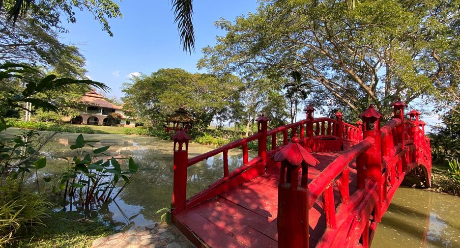 For rent and for sale 6 bedrooms house in San Sai, Chiang Mai