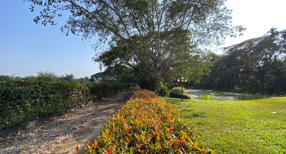 For rent and for sale 6 bedrooms house in San Sai, Chiang Mai
