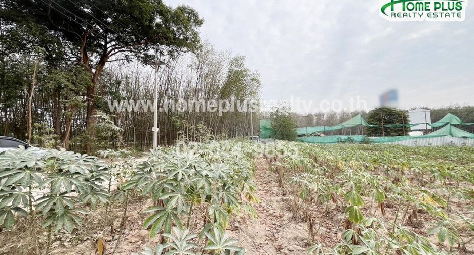 For sale land in Nikhom Phatthana, Rayong