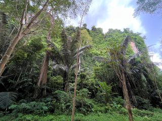 For sale land in Mueang Krabi, Krabi