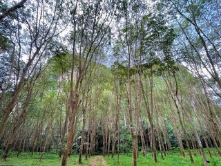 For sale land in Mueang Krabi, Krabi