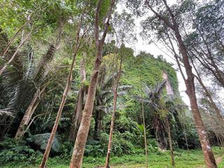 For sale land in Mueang Krabi, Krabi
