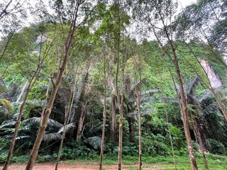 For sale land in Mueang Krabi, Krabi