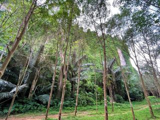 For sale land in Mueang Krabi, Krabi