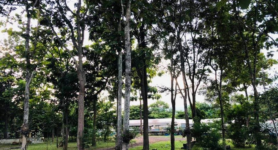 Grundstück zum Kauf in Wang Nam Khiao, Nakhon Ratchasima