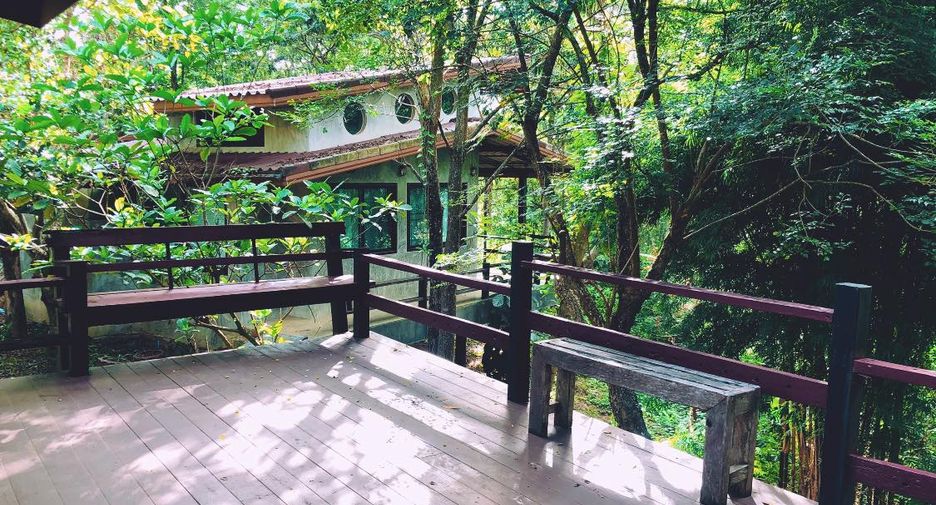 Grundstück zum Kauf in Wang Nam Khiao, Nakhon Ratchasima