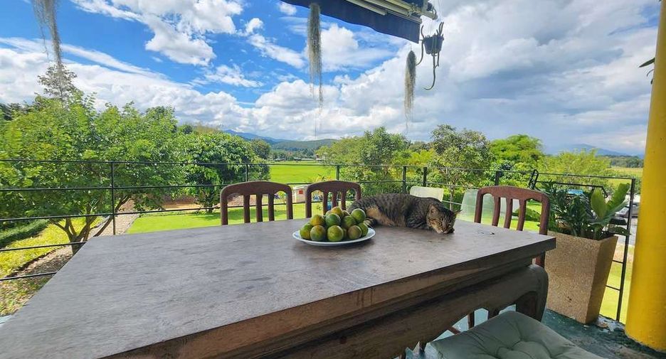 Haus zum Kauf mit 3 Zimmer in Mae Taeng, Chiang Mai