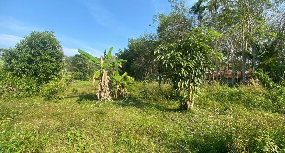ขาย ที่ดิน ใน ถลาง, ภูเก็ต