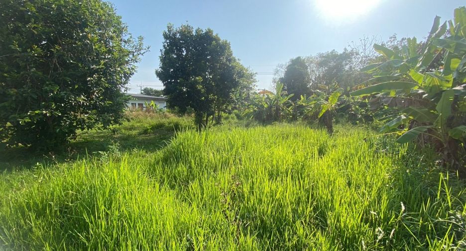 ขาย ที่ดิน ใน ถลาง, ภูเก็ต