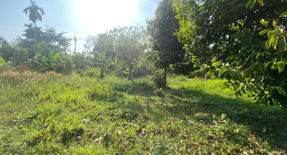 ขาย ที่ดิน ใน ถลาง, ภูเก็ต