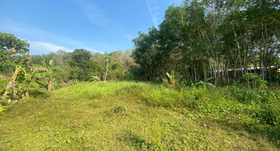 ขาย ที่ดิน ใน ถลาง, ภูเก็ต