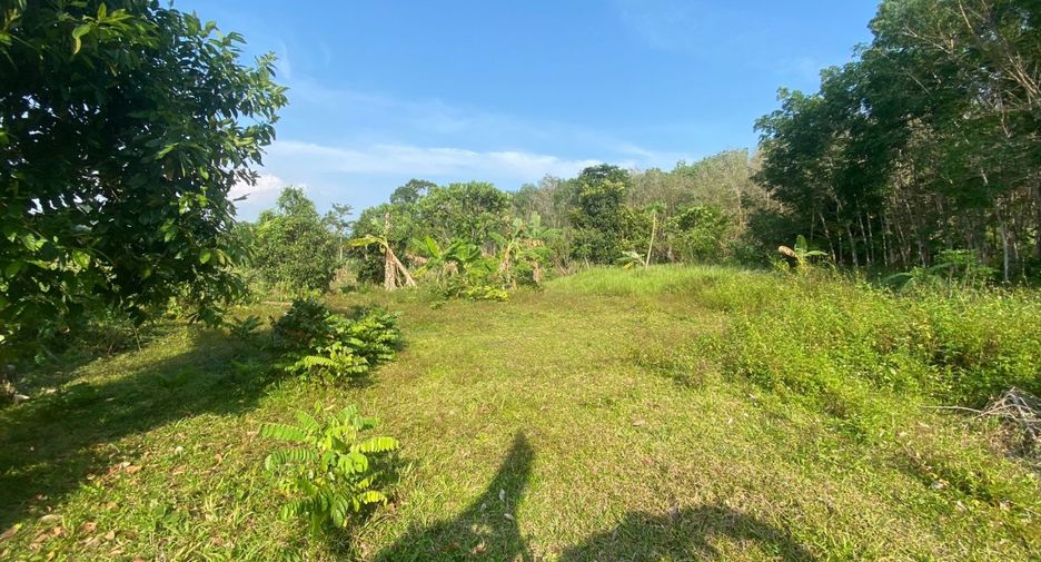 ขาย ที่ดิน ใน ถลาง, ภูเก็ต