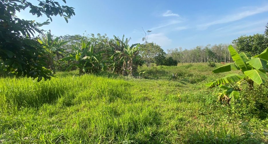 ขาย ที่ดิน ใน ถลาง, ภูเก็ต