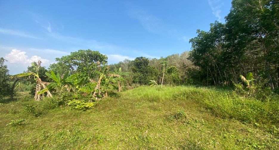 ขาย ที่ดิน ใน ถลาง, ภูเก็ต