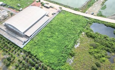 For rent そして for sale land in Mueang Samut Sakhon, Samut Sakhon