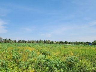 出售 土地 在 Bang Lamung, Chon Buri