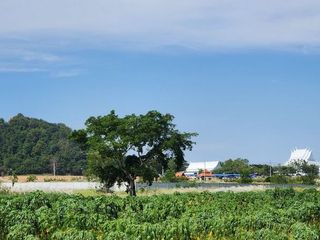 出售 土地 在 Bang Lamung, Chon Buri