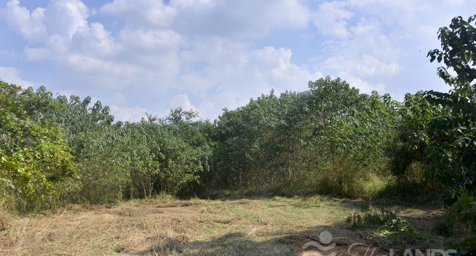 For sale land in Sai Yok, Kanchanaburi