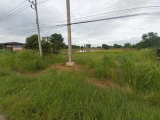 ขาย ที่ดิน ใน ชุมแสง, นครสวรรค์