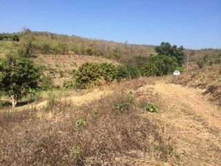 For sale land in Pai, Mae Hong Son