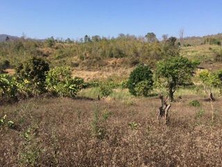 For sale land in Pai, Mae Hong Son