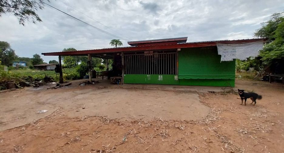 For sale land in Mae Wong, Nakhon Sawan