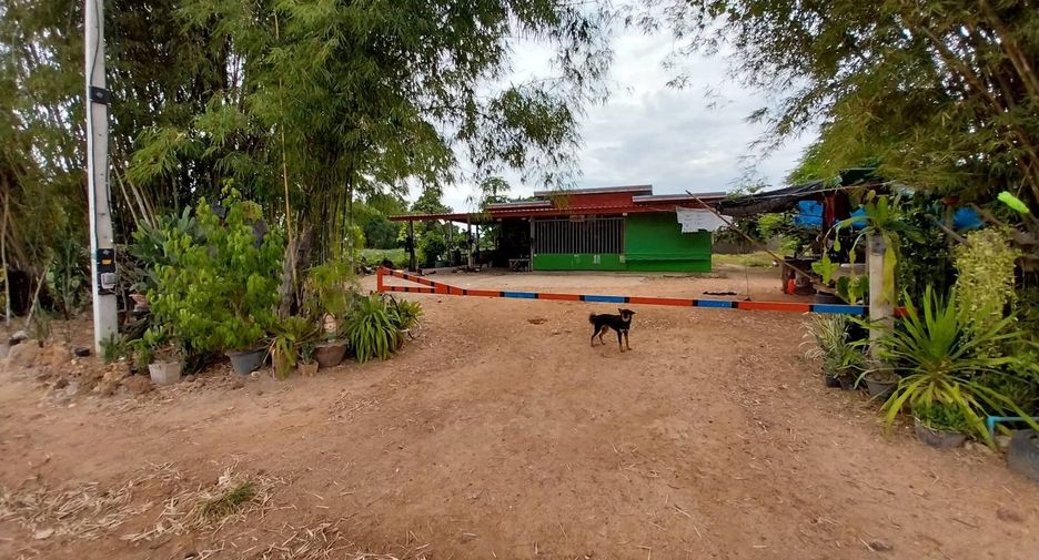 For sale land in Mae Wong, Nakhon Sawan