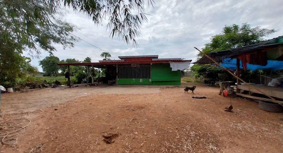 For sale land in Mae Wong, Nakhon Sawan