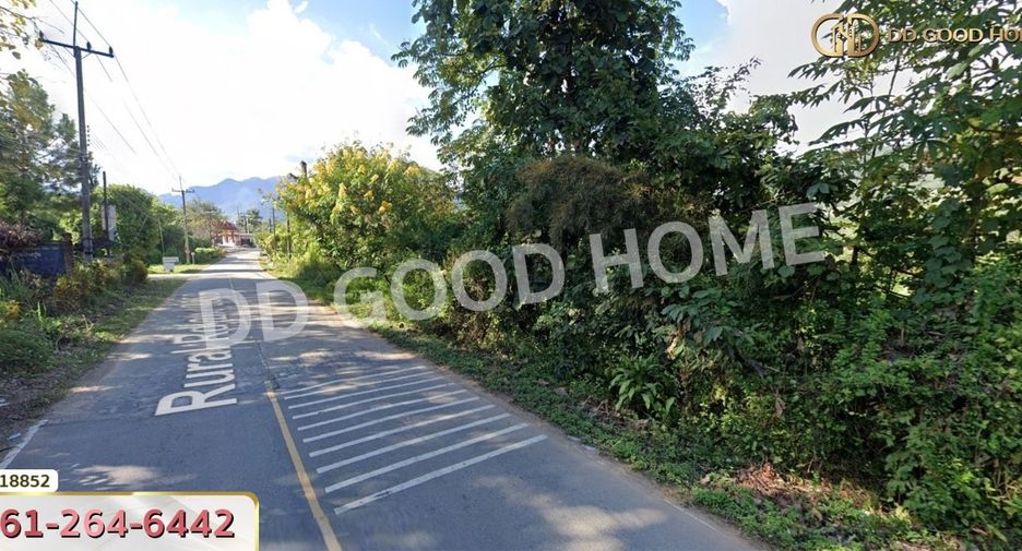 For sale land in Fang, Chiang Mai