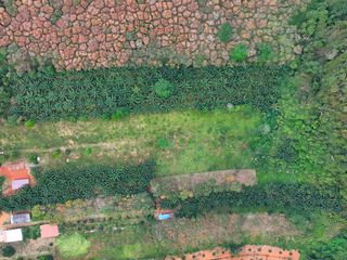 For sale land in Mueang Krabi, Krabi