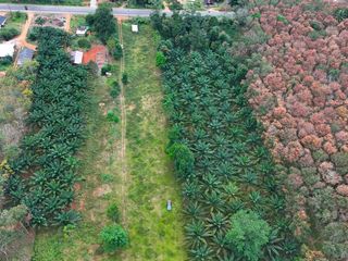 For sale land in Mueang Krabi, Krabi